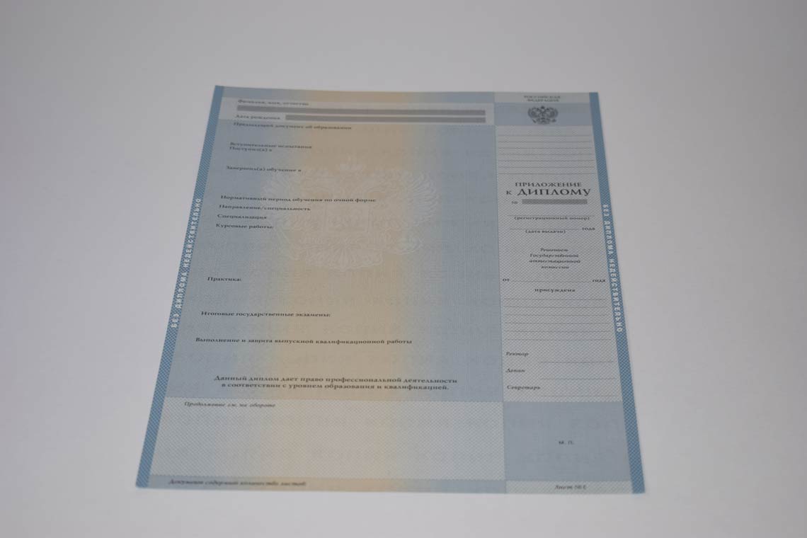 Диплом Магистра с 2003-2008 в Одинцово приложение